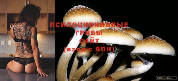 гидра Бугульма