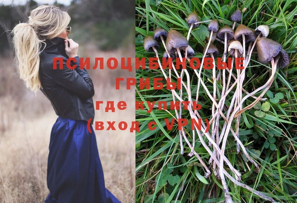 марки lsd Бородино