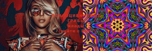 гидра Бугульма