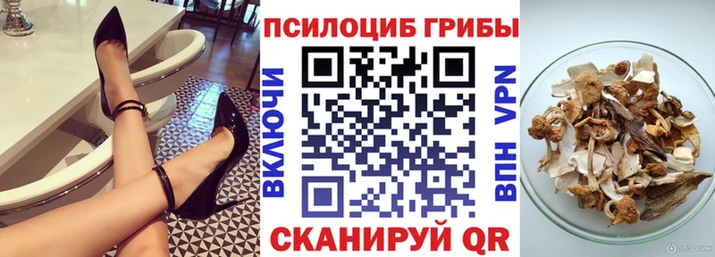 закладки  Бердск  Галлюциногенные грибы Psilocybine cubensis 